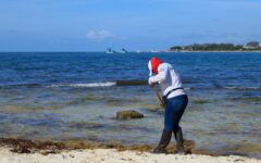Gobierno municipal continúa con limpieza de playas