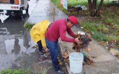 Realizan trabajos preventivos y atención a ciudadanos por lluvias en Cancún