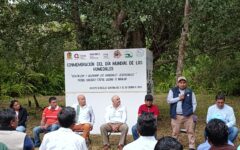 Quintana Roo participa en la conservación y sensibilización con motivo del Día Mundial de los Humedales: IBANQROO