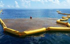 Colocan barreras antisargazo en Puerto Morelos; se tienen 460 metros de malla para contener la macroalga