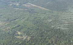 Hallan otra<br>‘narcopista’<br>en Chetumal