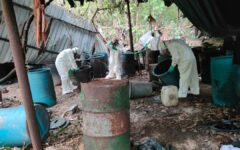 Destacan acciones de Sedena; resalta la destrucción de laboratorio de drogas en la Zona Maya de FCP