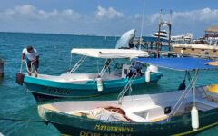 Aumenta afluencia de los cruces marítimos; las visitas a la isla aumentan pese a lluvias