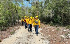 Brigadistas de Tulum reciben equipo para el combate a los incendios forestales