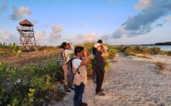 Monitoreo de aves en Punta Sur