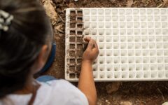 INMAYA imparte el programa “Implementación de huertos escolares y elaboración de compostas” en escuelas primarias de comunidades indígenas