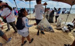Celebran limpiando las playas y el mar