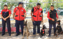 Unidad Canina de Bomberos hace demostración en Cancún