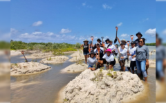 Universitarios restauran el manglar