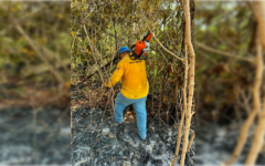 Combaten un incendio forestal en Puerto Morelos