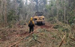 Coordinan esfuerzos para el combate de incendios forestales en Quintana Roo
